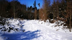 Winterlicher Spaziergang im Naturpark – Westliche Wälder