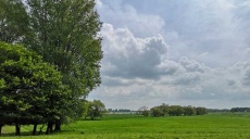 Lush green pasture on the banks of the Rhine - a walk