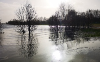 Hochwasser an der Weser – ein Spaziergang im Sturm