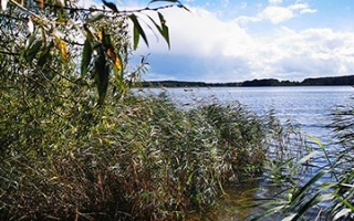 Lake Garder - A paradise for nature lovers and adventurers