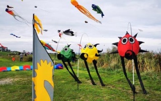 Dangast Kite Festival: Kites over the Beach
