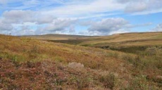 Longdendale Trail – Wanderung hinauf auf das Hochmoor