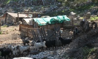 Yörük – nomadische Hirten im Taurus Gebirge