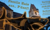 Sharks - A journey into the native times of Perchtoldsdorf