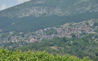 Rapsani: wine-growing region on the slopes of Mount Olympus