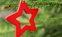 Weihnachtszeit - Ist das Grün des Baumes ein christliches Symbol?
