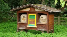 Bienenhäuser & Bienenkästen – Relikte der Vergangenheit?