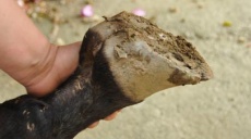 Der Hufschmied aus Antalya bei der Arbeit in Alanya