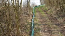 Kröten „sammeln“ zwischen Marktbreit und Michelfeld