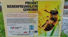 Thalheim – Projekt Bienenfreundliche Gemeinde