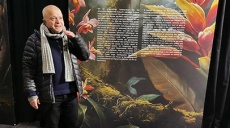 Amazonien Yadegar Asisi – Faszination tropischer Regenwald