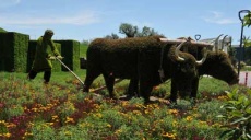 Plant sculptures at EXPO 2016 Antalya