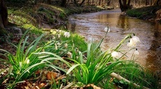 Frühlingserwachen an Ahr und Main