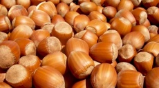 Turkey is the largest hazelnut exporter in the world