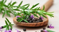 Ganzheitliche Medizin