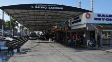 Frischer Fisch vom Fischmarkt bei Güzelbahçe