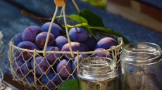 The Mühlhausen plum jam – often buck goods in its day