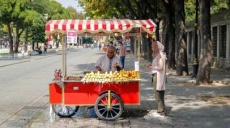Culinary regional allocation of specialties in Turkey
