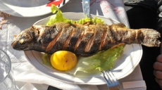 Bachforelle im Kelmend Tal - ein kulinarischer Genuss