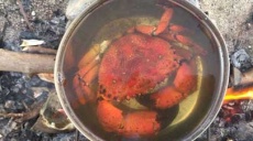 Crab fishing in Perea - at the Gulf of Thessalonica