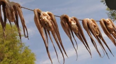 Lesbos und leckerer Tintenfisch in Knoblauchsoße