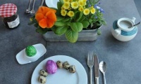 Easter time – egg time - chicken and quail eggs!