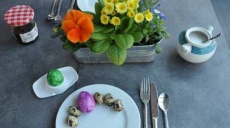 Osterzeit – Eier Zeit - Hühner- und Wachtel Eier!