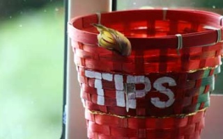 Der Trinkgeld-Knigge / von Nadia-Maria Chaar