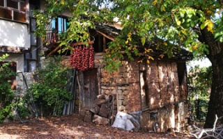 Mountain Village Vevčani - rural half-timbered and Eco-Village