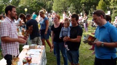 Römer nutzten Holz und Früchte der Elsbeere