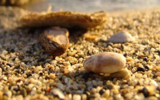 Avsallar - Alanya´s Vorort mit Ferienortcharakter