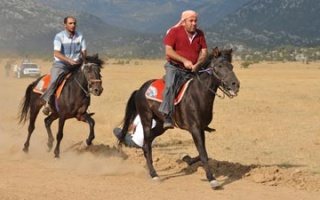 Pferderennen in Ormana / Ibradi