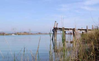 Delta Kanal - Manavgat