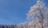 Hoarfrost and/or frost - wonderful impressions on the Finne